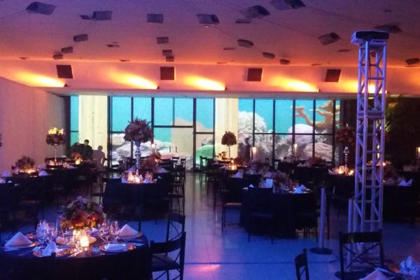 As principais qualidades que um produtor de eventos deve ter